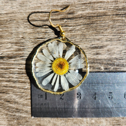 Boucles d'oreilles camomilles sauvages