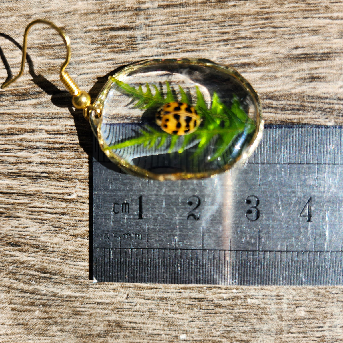 Boucles d'oreilles coccinelles porte-bonheur