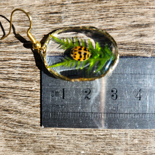 Boucles d'oreilles coccinelles porte-bonheur