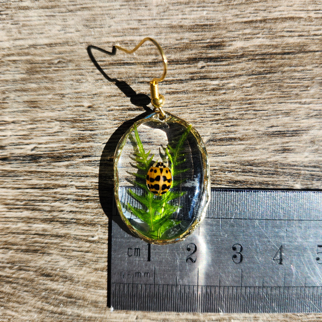 Boucles d'oreilles coccinelles porte-bonheur