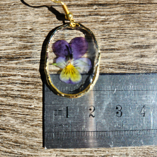 Boucles d'oreilles pensées viola tricolor