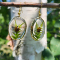 Boucles d'oreilles coccinelles porte-bonheur
